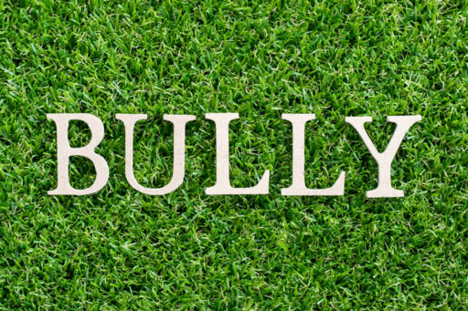 What to Do When You Discover There’s an Office Bully